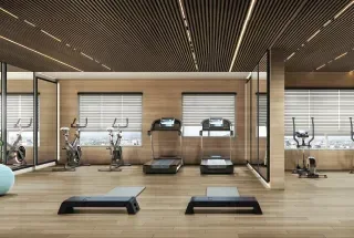 Gymnasium